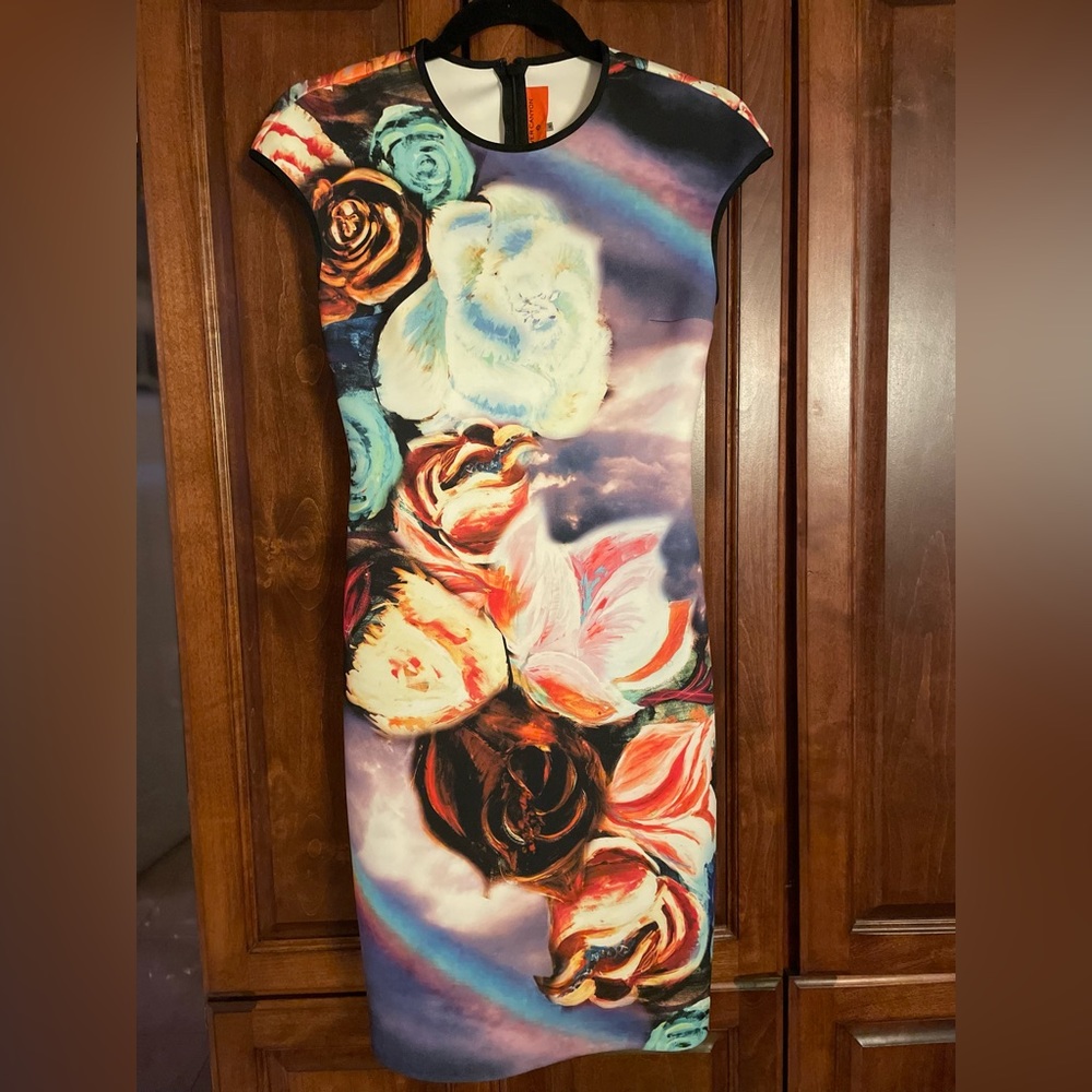 Clover canyon DRESS